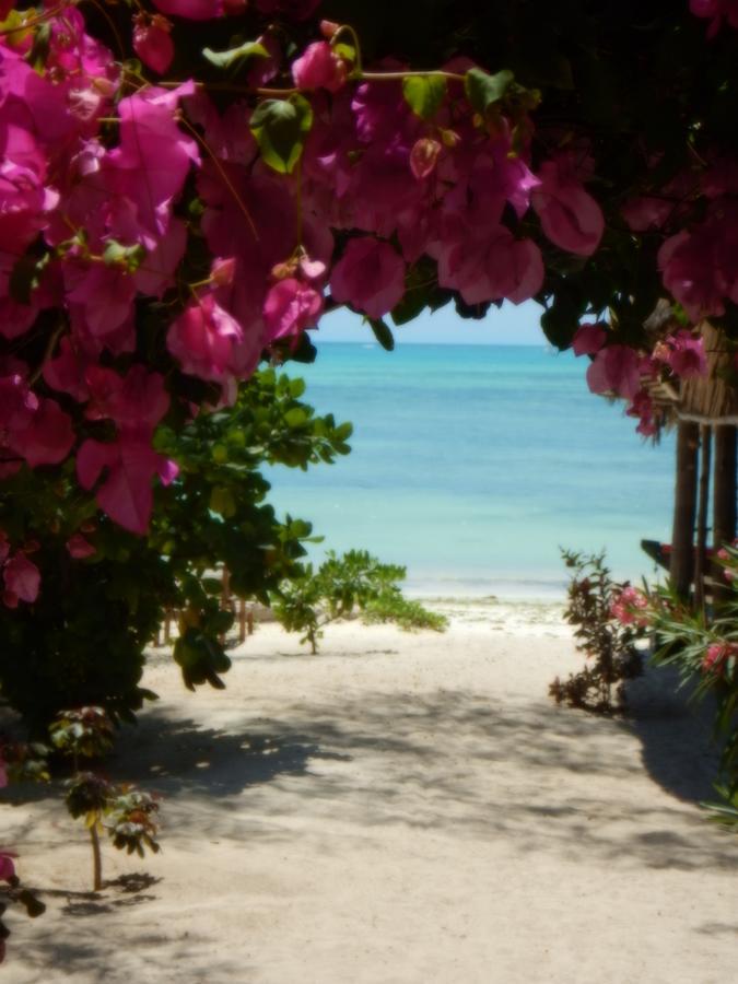 Changu Beach Resort Jambiani (Zanzibar) Exterior foto